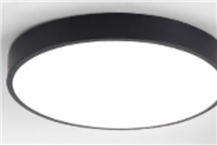 24W round ceiling lamp